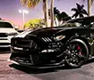 Shelby 350R Thank you for Contacting Us at Exotics Wanted